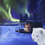 Hotelli Arctic Igloos Ranua