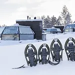 Arctic Igloos