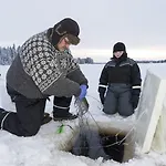 Arctic Igloos Ranua
