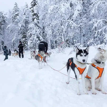 Arctic Igloos Hotelli Ranua