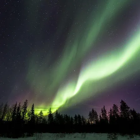 Hotel Arctic Igloos 5*