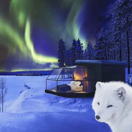 Hotel Arctic Igloos Ranua