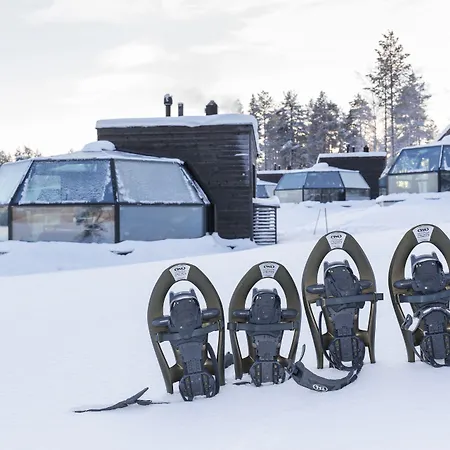 Arctic Igloos