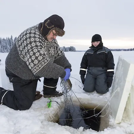 Arctic Igloos Ranua