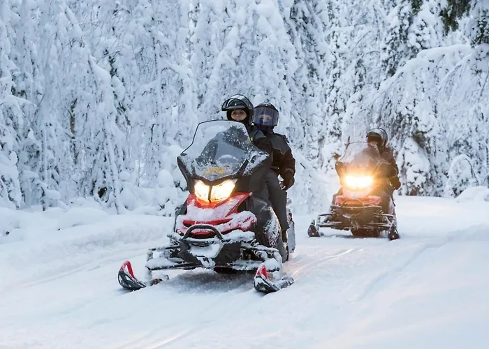 Arctic Igloos Hotel Ranua