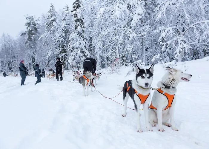 Arctic Igloos فندق رانوا