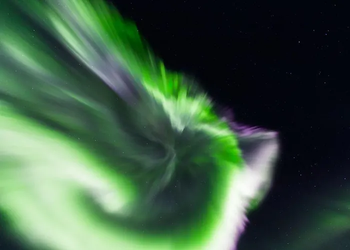 Arctic Igloos Hotel Ranua