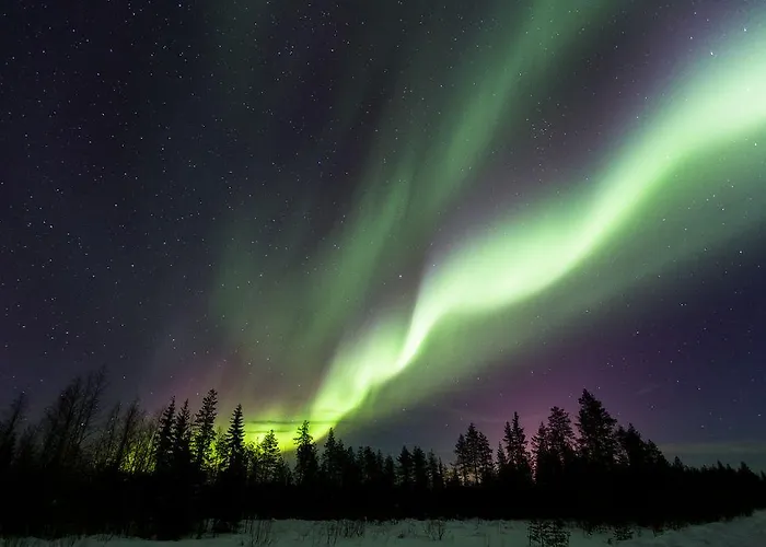 فندق Arctic Igloos 5*