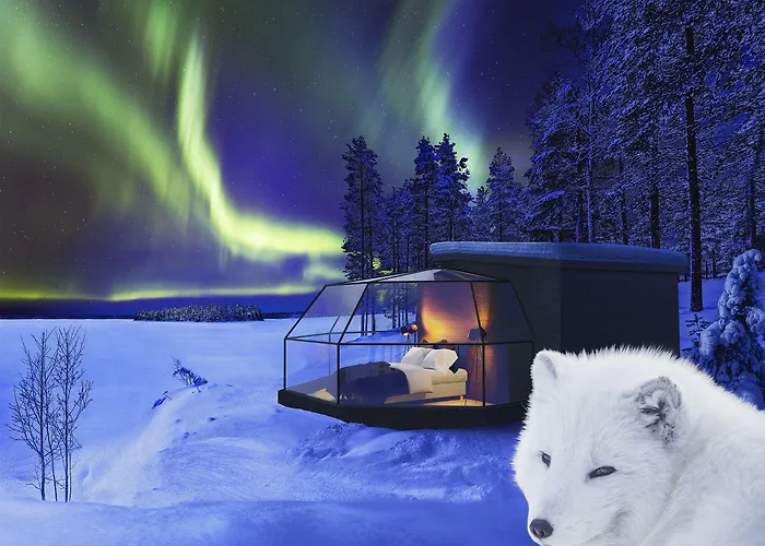 Hotel Arctic Igloos Ranua