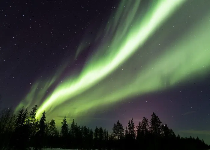 Arctic Igloos فندق